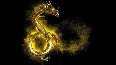 Dragon 4D .